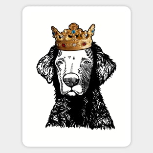 Curly-Coated Retriever Dog King Queen Wearing Crown Magnet